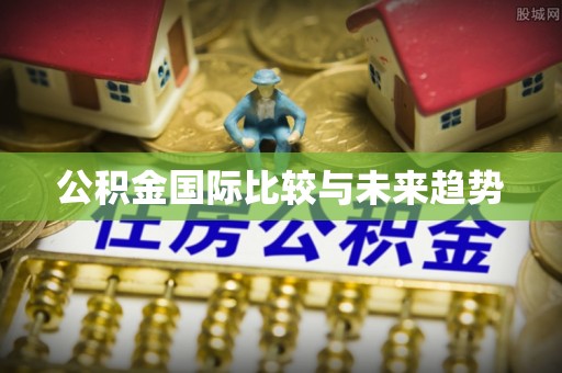 乌海公积金国际比较与未来趋势