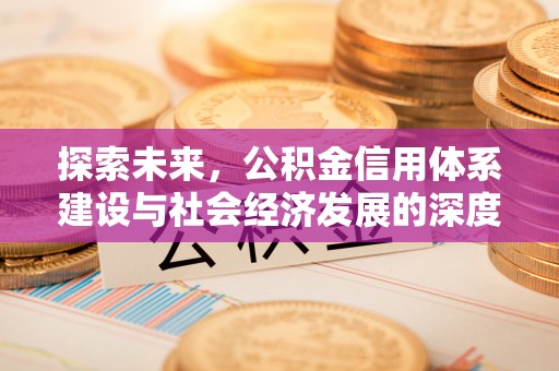 乌海探索未来，公积金信用体系建设与社会经济发展的深度融合