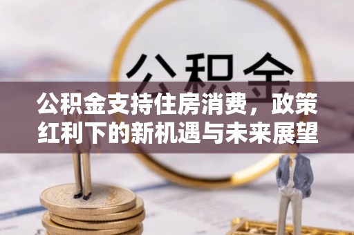 乌海公积金支持住房消费，政策红利下的新机遇与未来展望
