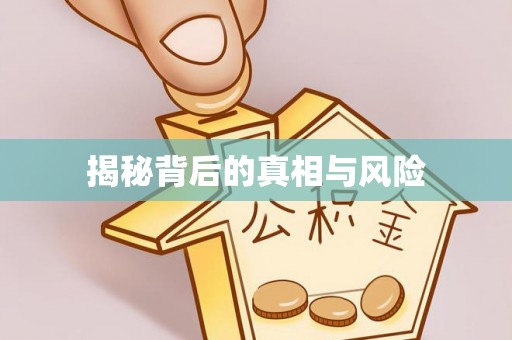 乌海揭秘背后的真相与风险