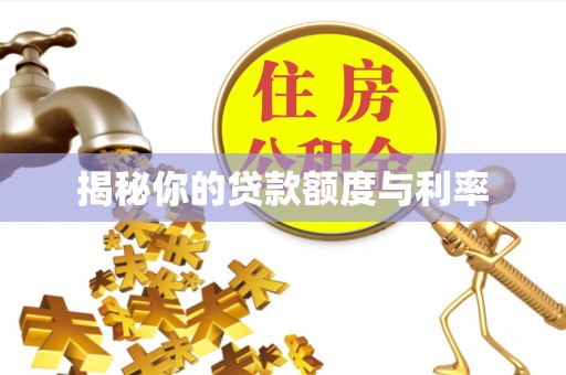 乌海揭秘你的贷款额度与利率