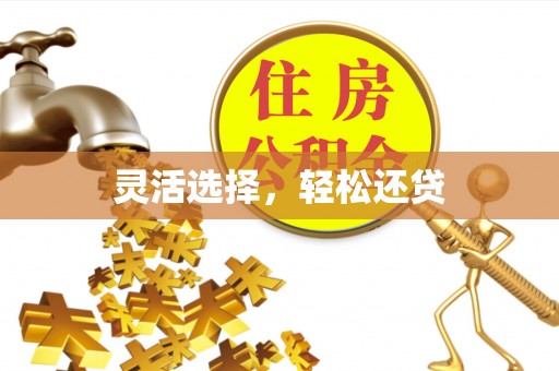 乌海灵活选择，轻松还贷