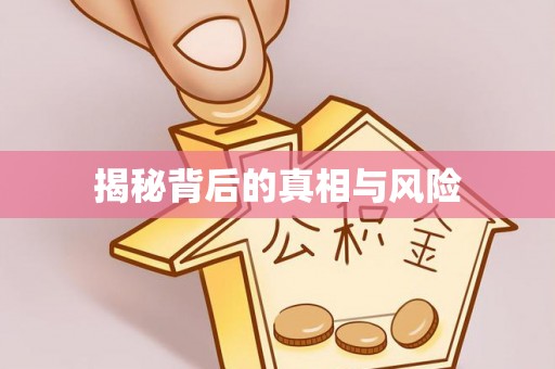 乌海揭秘背后的真相与风险