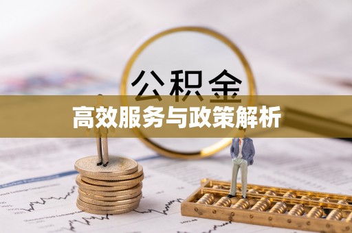 乌海高效服务与政策解析