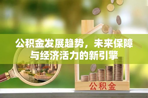乌海公积金发展趋势，未来保障与经济活力的新引擎