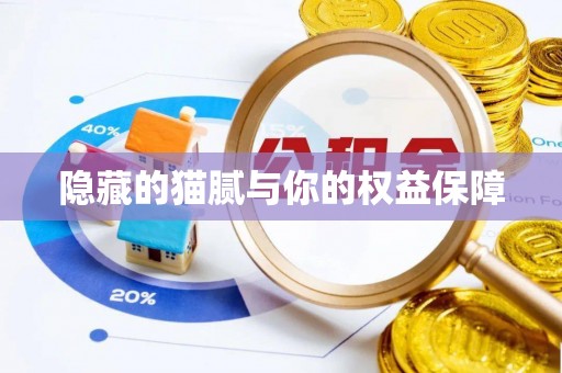乌海隐藏的猫腻与你的权益保障