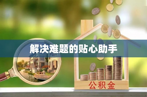 乌海解决难题的贴心助手