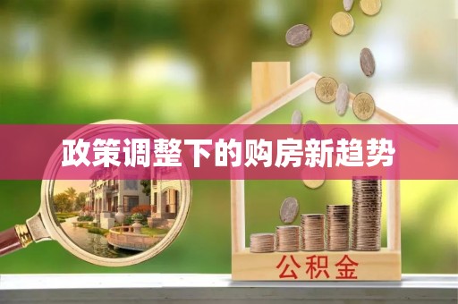 乌海政策调整下的购房新趋势