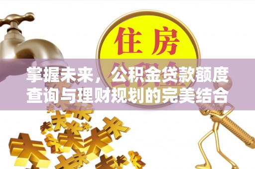 乌海掌握未来，公积金贷款额度查询与理财规划的完美结合