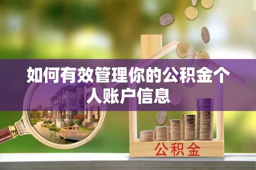 乌海如何有效管理你的公积金个人账户信息