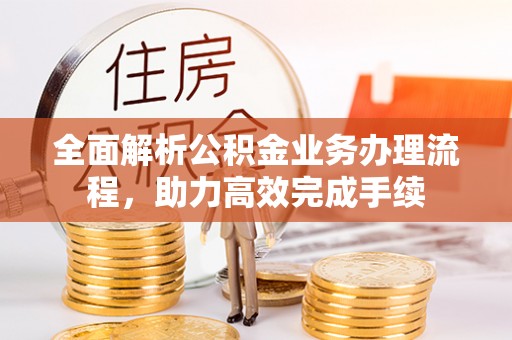 乌海全面解析公积金业务办理流程，助力高效完成手续
