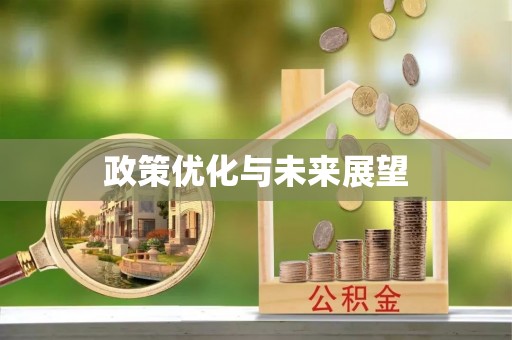 乌海政策优化与未来展望