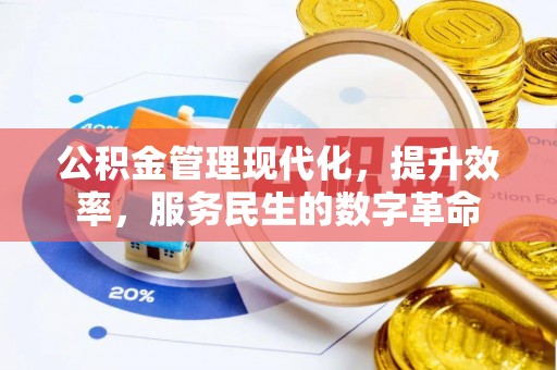 乌海公积金管理现代化，提升效率，服务民生的数字革命