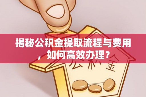 乌海揭秘公积金提取流程与费用，如何高效办理？
