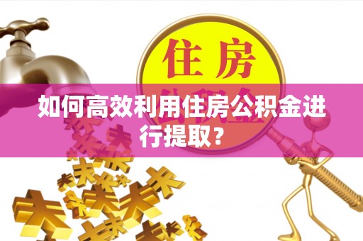 乌海如何高效利用住房公积金进行提取？