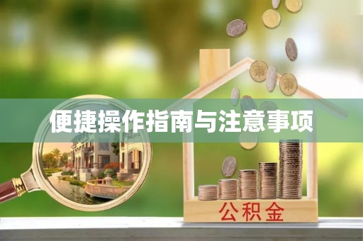乌海便捷操作指南与注意事项